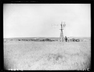 Samuel Neve homestead, southwest Custer County, Nebraska.