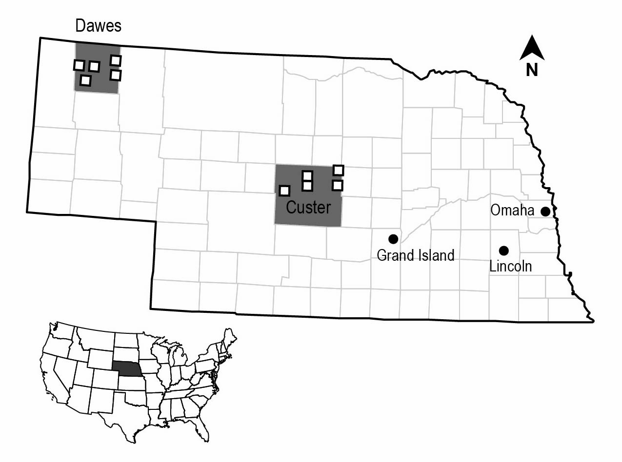 Map of the townships in Custer and Dawes counties that comprise the Study Area
