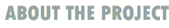 About the project